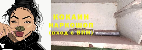 гидропоника Бородино