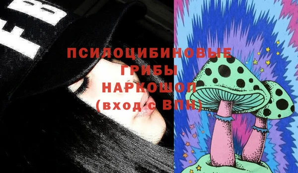амф Верхний Тагил