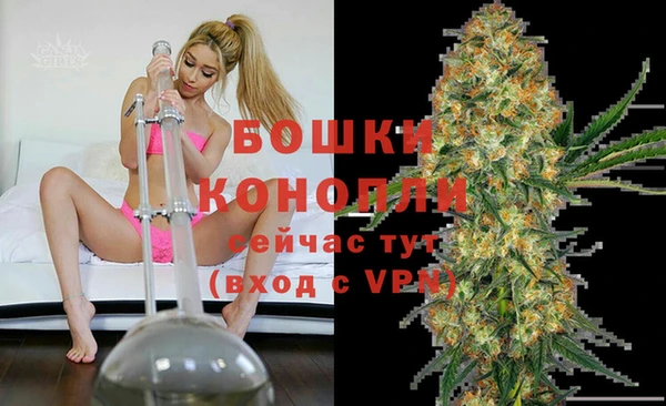 гидропоника Бородино