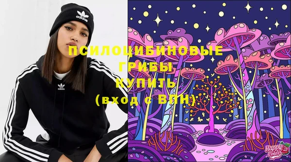 амф Верхний Тагил