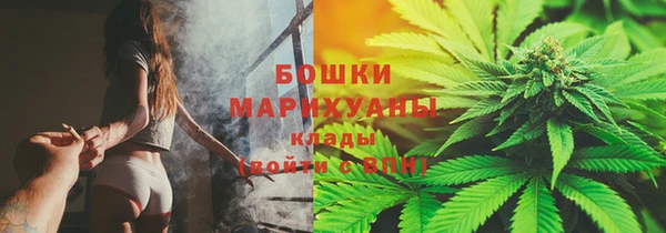 молекула духа Переславль-Залесский