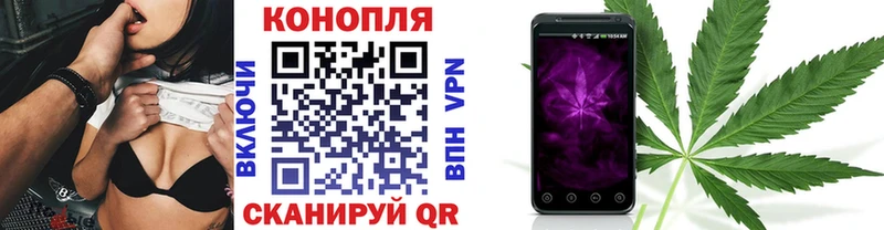 MEGA вход  Грайворон  МАРИХУАНА конопля 